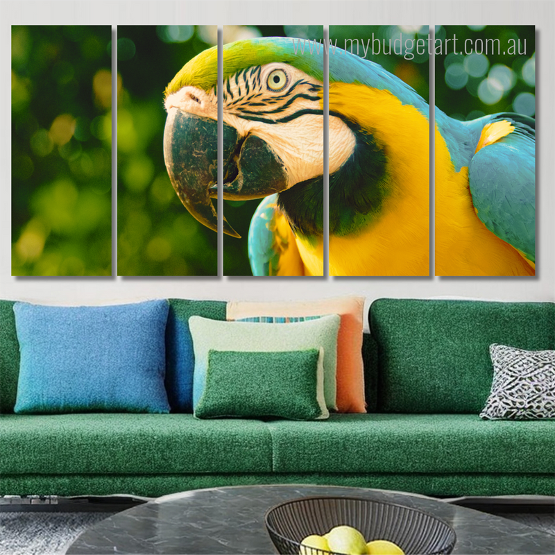 Parrot Birds Modern Framed Painting Pictures 5 Piece Framed Canvas Wall Art Prints Set For Living Room Wall Décor